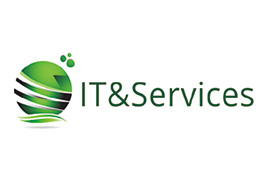 Global IT and Services